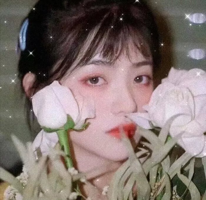 还珠记