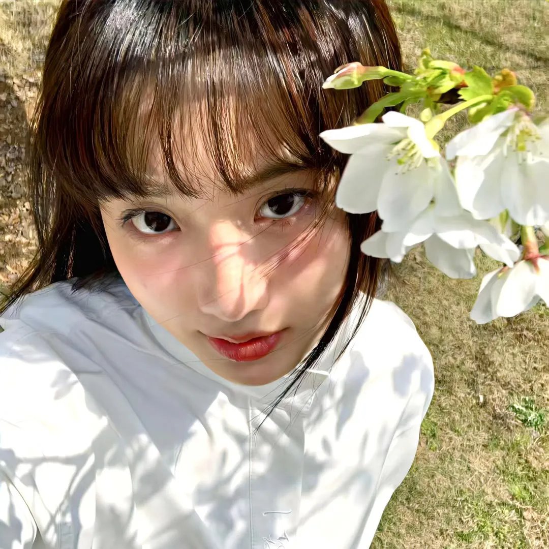 红灯梦